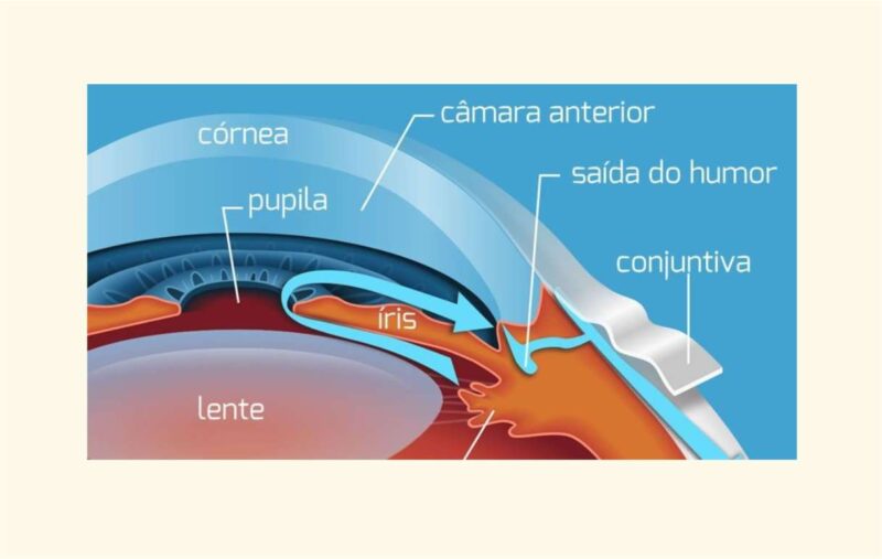 estruturas da Cornea - Instituto de Olhos de Florianópolis